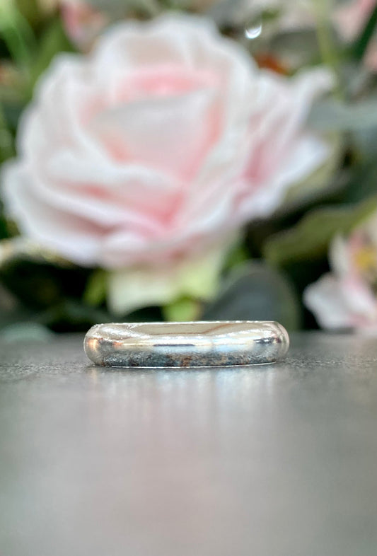 Silver Plain Band
