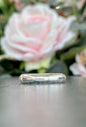 Silver Plain Band